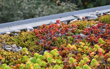 the cost of Little Witcombe green roof installation