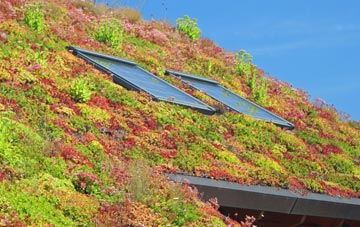 Little Witcombe living roof systems